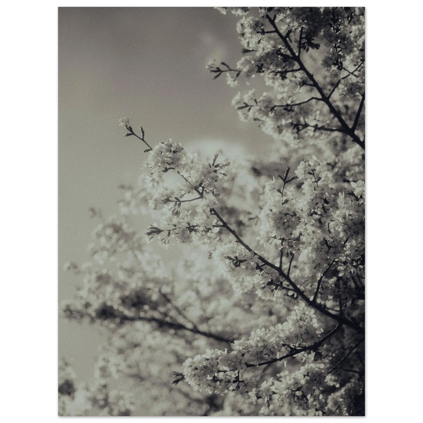 1939a339-f010-42d8-8867-273ad6477735