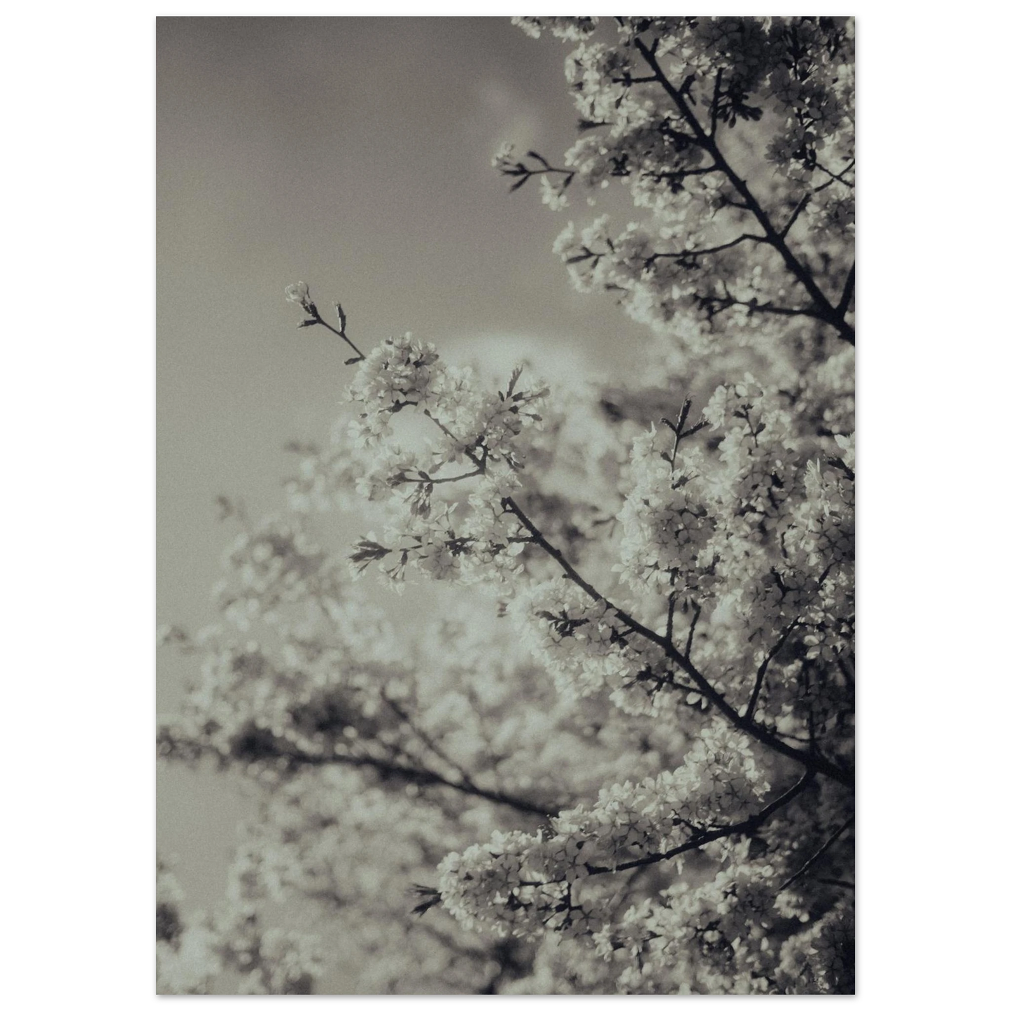 78c63d91-1b4b-4ec9-9f05-0722b15a87be