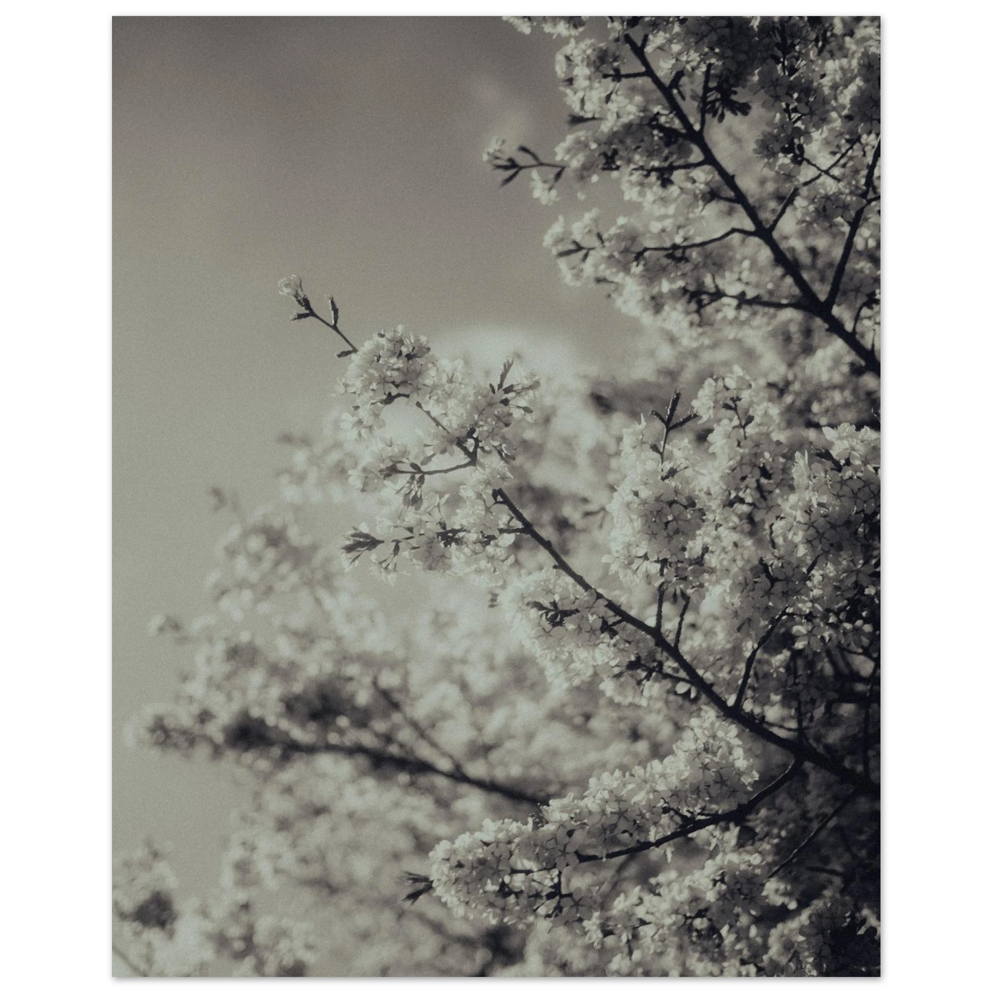 80ad4945-b432-4bc6-830e-c1eae15205c3