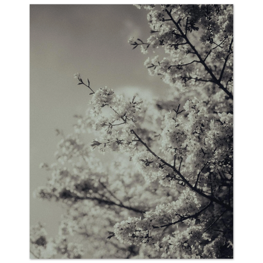 80ad4945-b432-4bc6-830e-c1eae15205c3