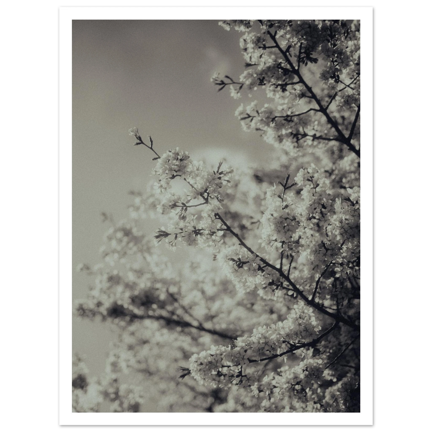 cc2c0890-0d61-4c2f-bc90-64978cf0ab3f